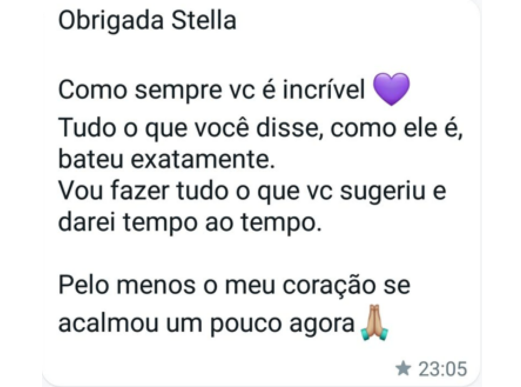 Dona Rosa Vermelha