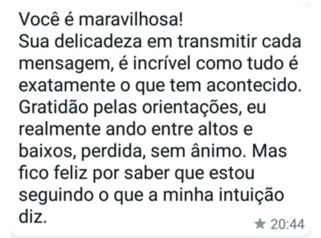 Dona Rosa Vermelha