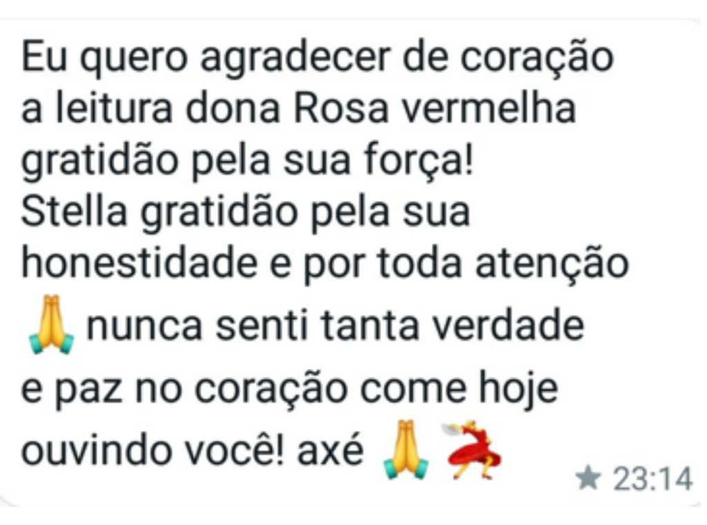 Dona Rosa Vermelha
