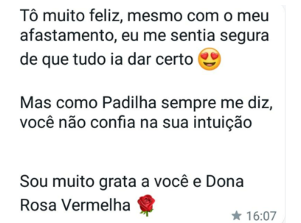 Dona Rosa Vermelha